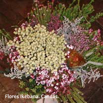 Flores Ikebana